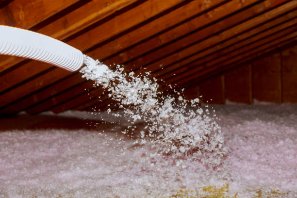 Best Eco-Friendly Insulation in Ardmore, AL
